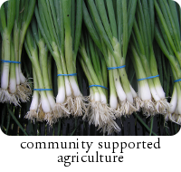 csa